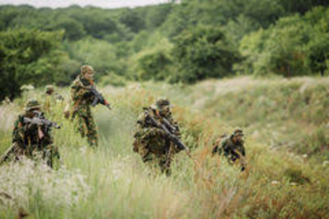 El Comandant Rodirgo va pel bosc buscant als llops amb els seus soldats.