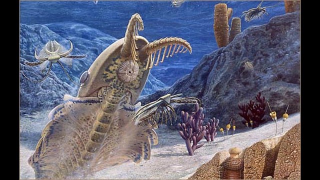 Ordovician Period- 485.4 - 443.8 MYA