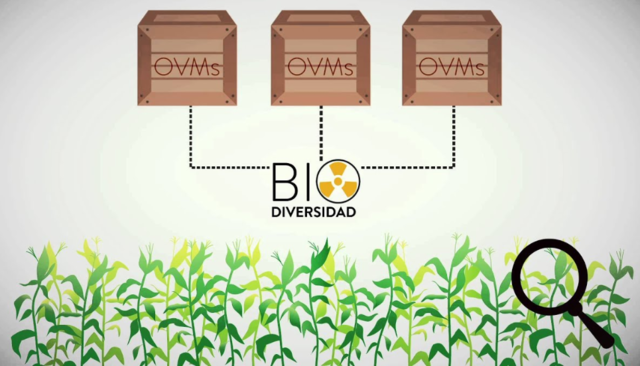 Protocolo de Cartagena 2000