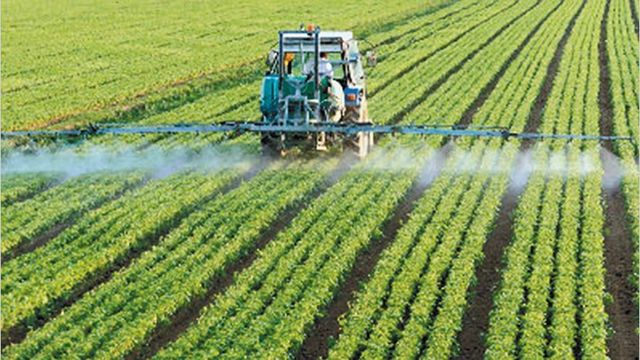 agro-industria en Colombia