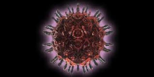 La pandemia del virus A.