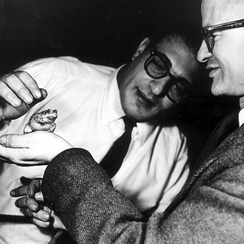 Génesis de la inteligencia artificial