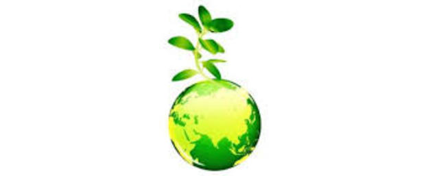 Responsabilidad ambiental, una respuesta eficaz