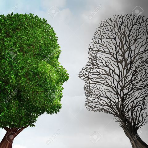 Implicación de los actuales patrones de producción y consumo sostenible