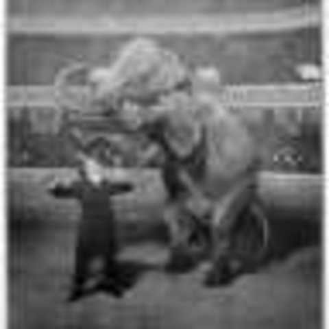 Houdini Performs Vanishing Elephant Illusion at New York's Hippodrome Theatre