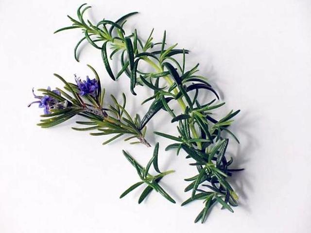 Shakespeare gets Married