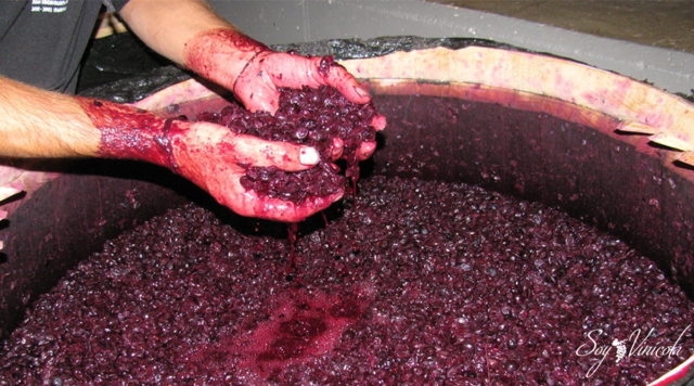 Civilizaciones antiguas desarrollan la fermentación