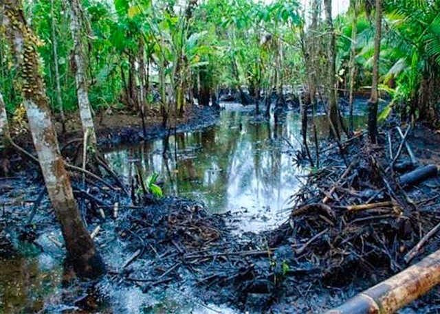 Problemática de la producción y consumo de recursos en Colombia