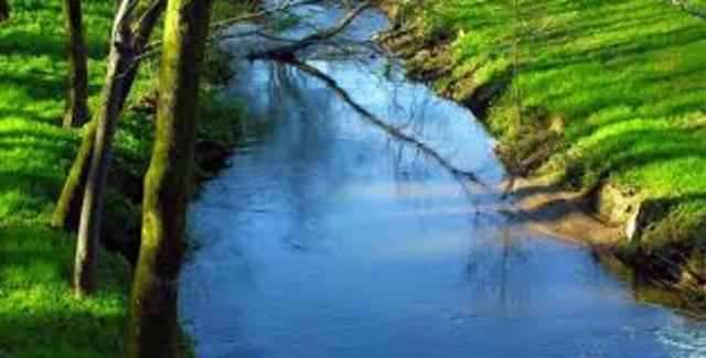 Declaración de Río sobre el Medio Ambiente y el Desarrollo