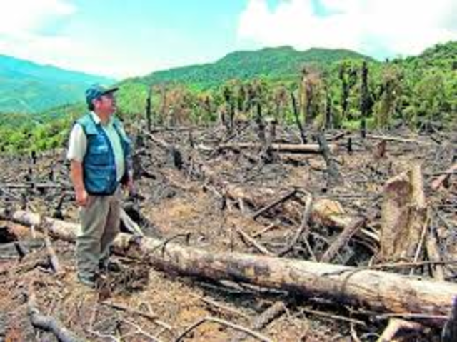 presion sobre el capita laboral