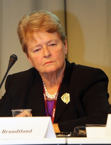 Informe Brundtland