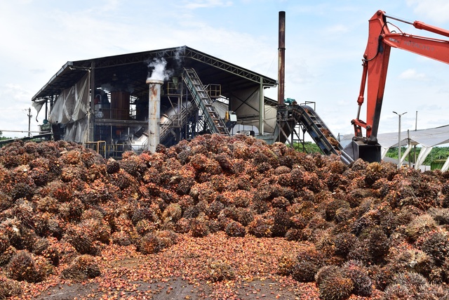 Aumenta la agro-industria.