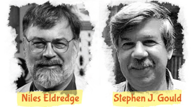 Niles Eldredge i Stephen Jay Gould