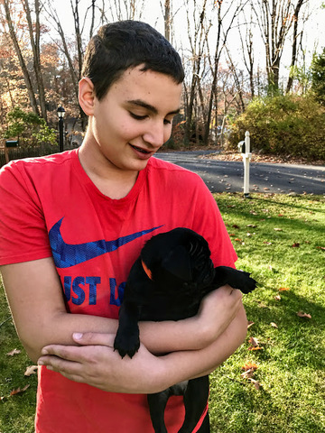 Obtení mi otro perro, Brodie.