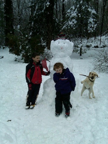 Jugué con mi perro en el nieve.