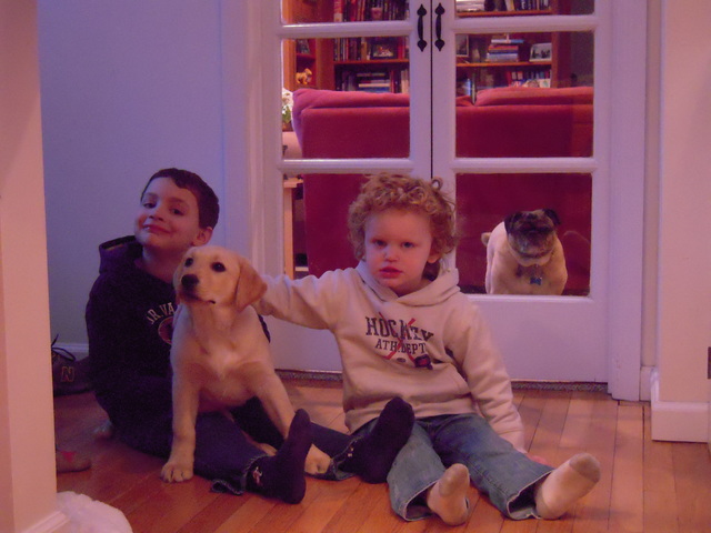 Recibí mi perro, Chloe.