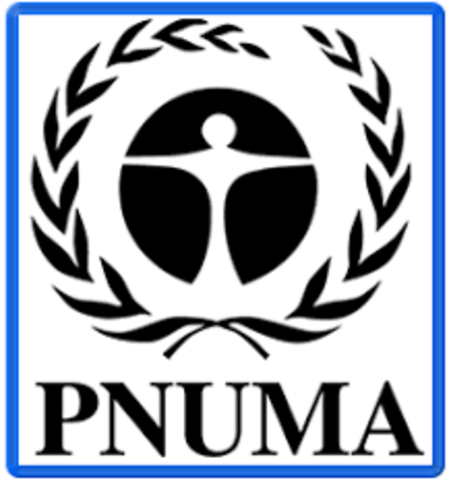 PNUMA