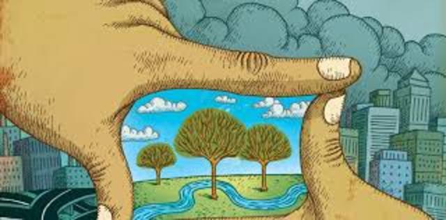 Constitución política Colombiana.