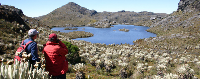 Colombianos salvando paramos