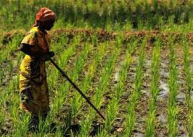 Problematica de la producción