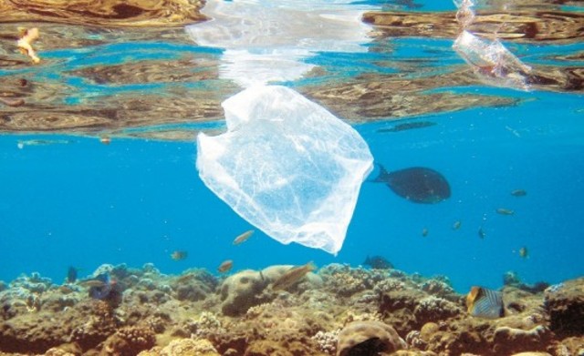 Día Mundial de los Océanos, el 8 de junio de 2009,