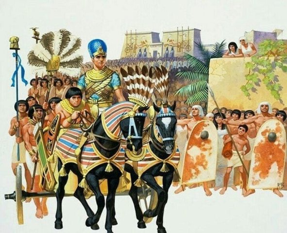 PARTICIPACIÓN EN LA POLÍTICA