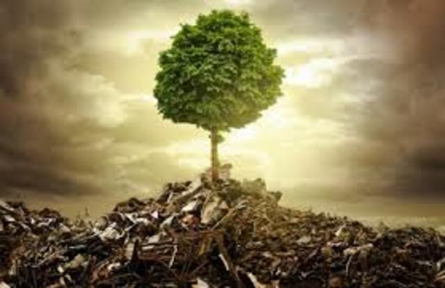 Desarrollo economico