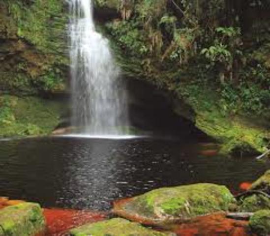 1974 Código de los recursos naturales