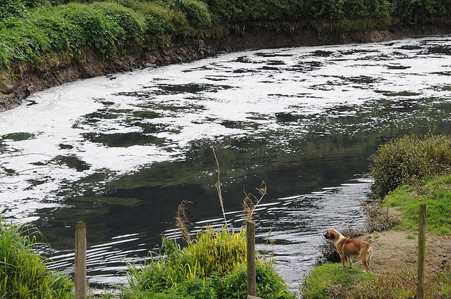 contaminacion hidrica