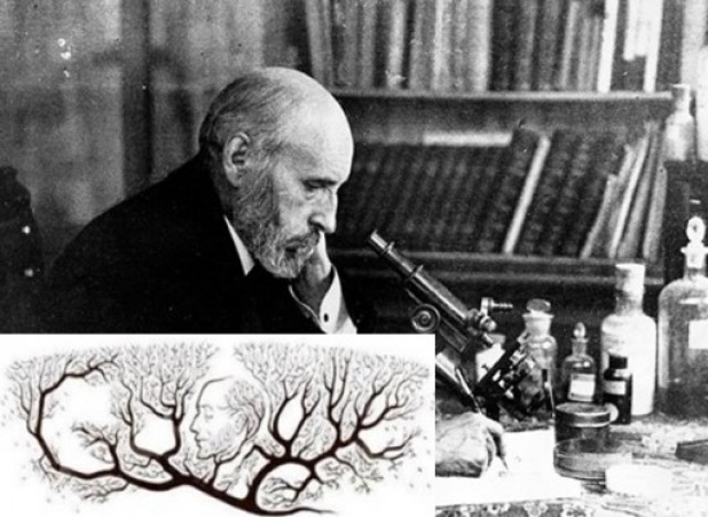 1907    Se establece la Junta para la Ampliación de Estudios para fomentar el desarrollo de la ciencia