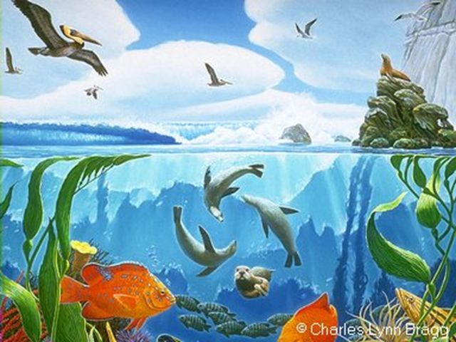 Convención para la preservación de diferentes especies