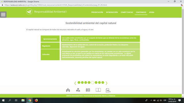 Sostenibilidad ambiental del capital natural