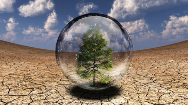 Cambios en ecosistemas