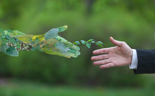 Retos actuales de medio ambiente para colombia