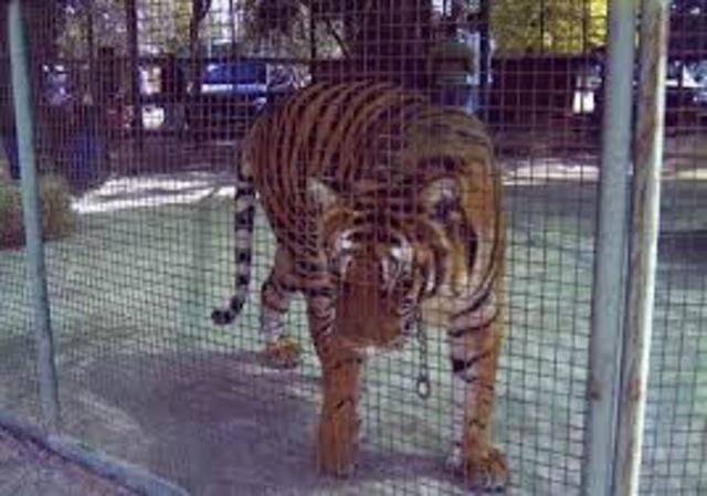 Explotación Animal.