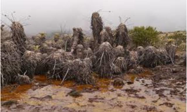 CONTAMINACION EN LOS PARAMOS