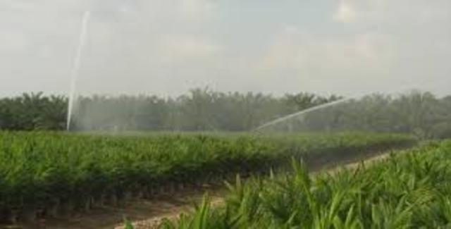 Consumo agricola en Colombia.