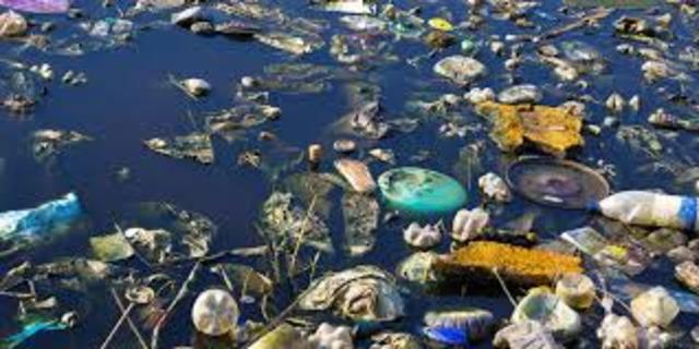 CONTAMINACION DEL AGUA.