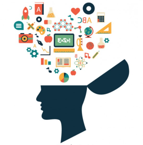 Se establece parte de las bases para estudios sobre el aprendizaje en humanos relacionadas con los procesos cognitivos dentro del cerebro