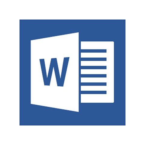 Microsoft Word