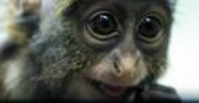 My life ends my sister is born.