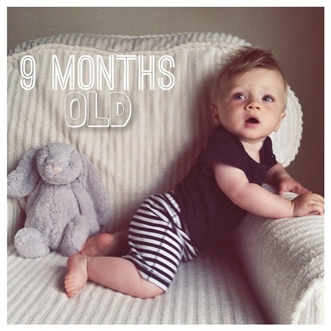 9 Months