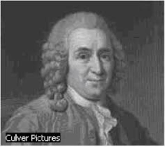 obra Analysis Geometrica