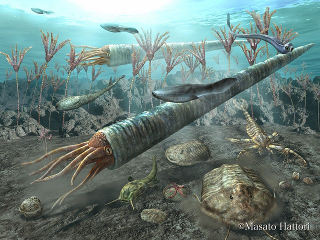 ordovician