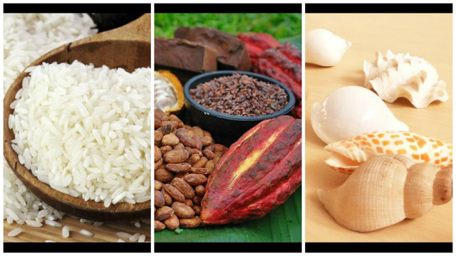 Granos de cacao, ostras, sal o metales preciosos