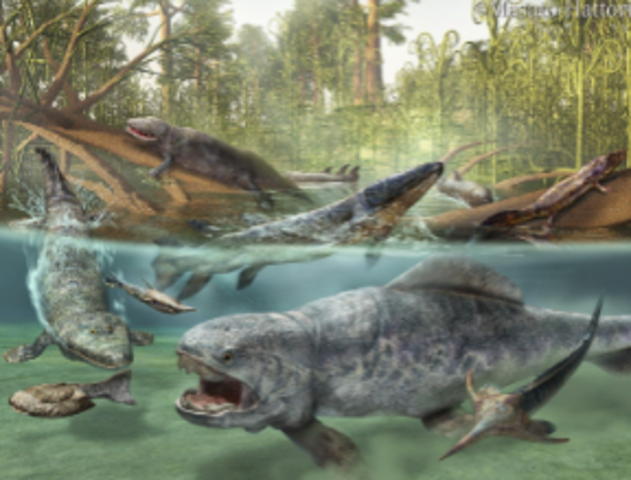 Devonian Period