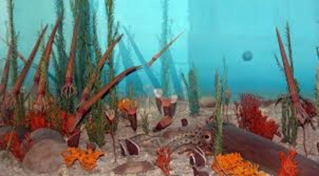 The ordovician period