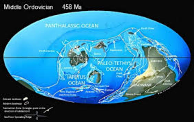 Ordovician Period 488 MYA