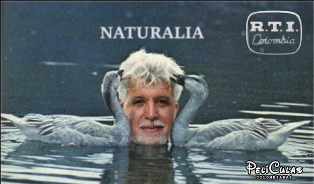 grandes eventos en Colombia- Naturalia