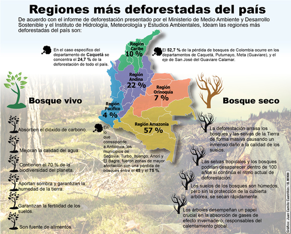 La deforestacion